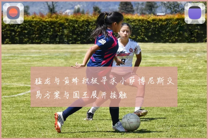 猛龙与黄蜂积极寻求小萨博尼斯交易方案与国王展开接触